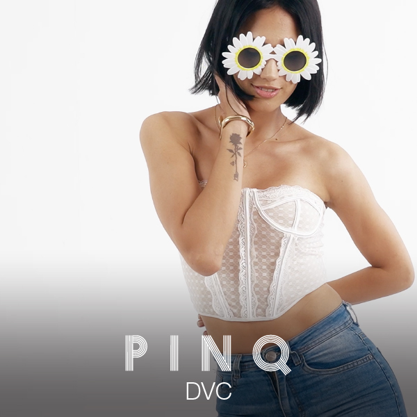 Pinq DVC