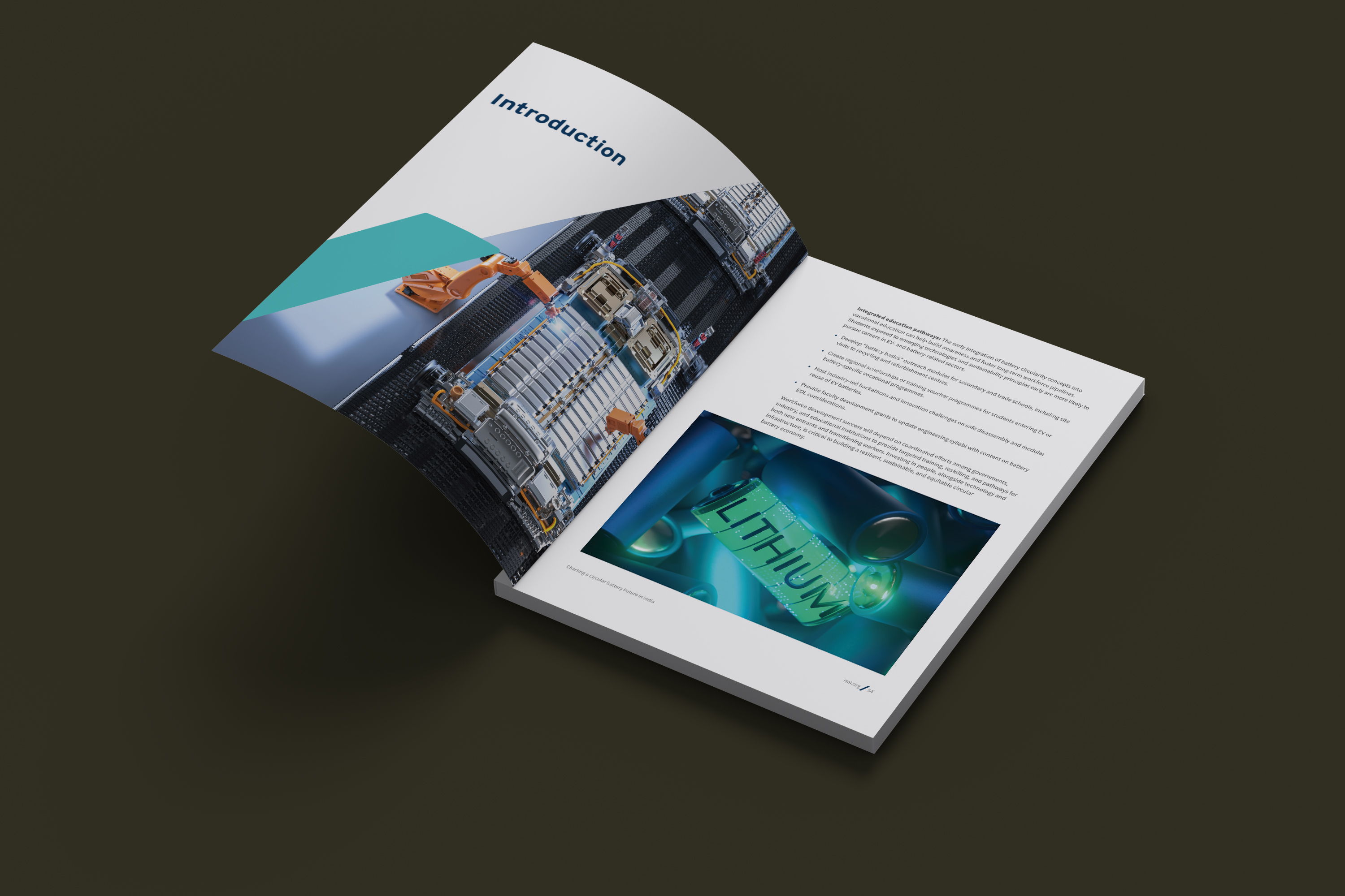 RMI brochure design