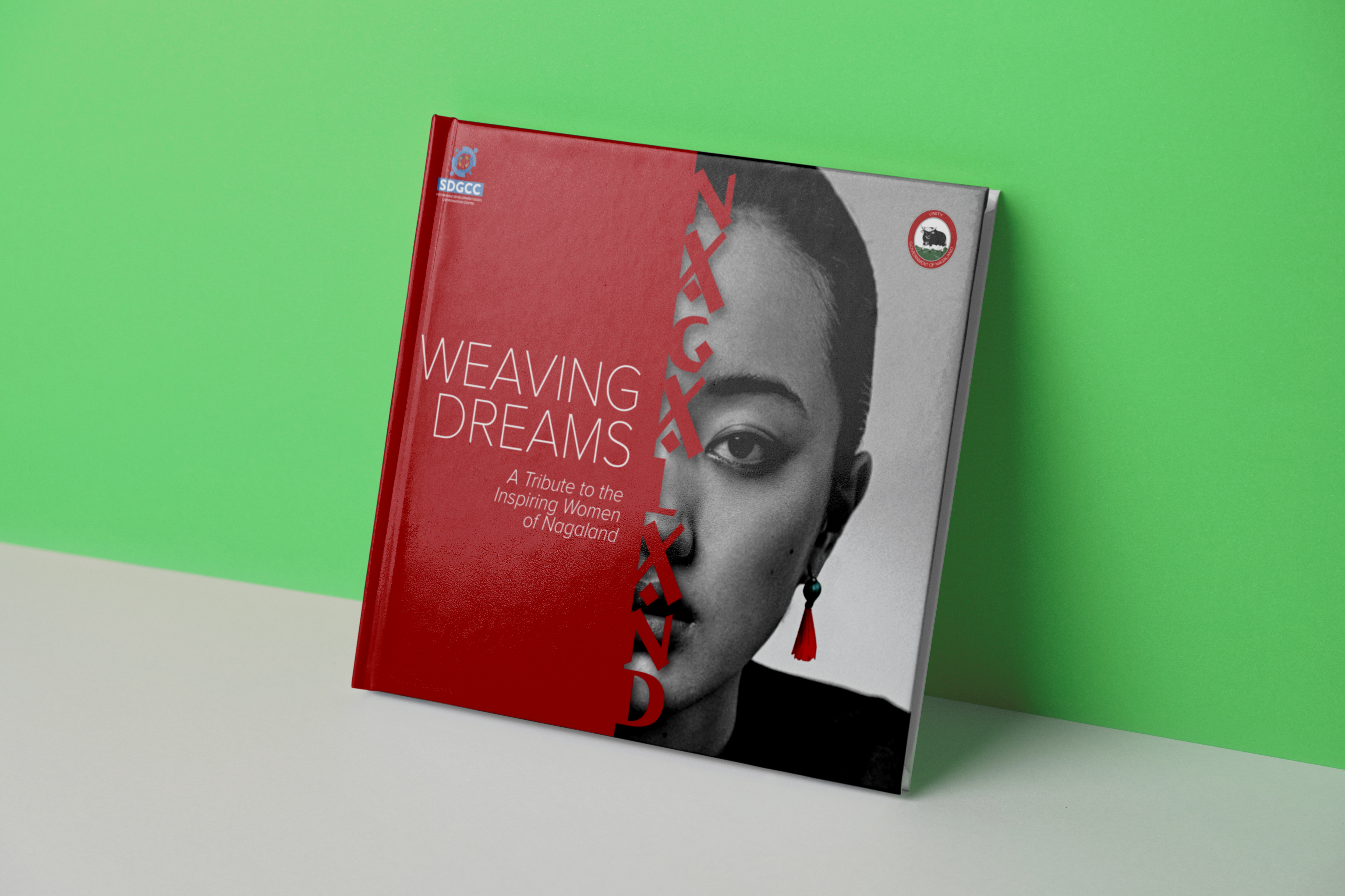 UNDP brochure design