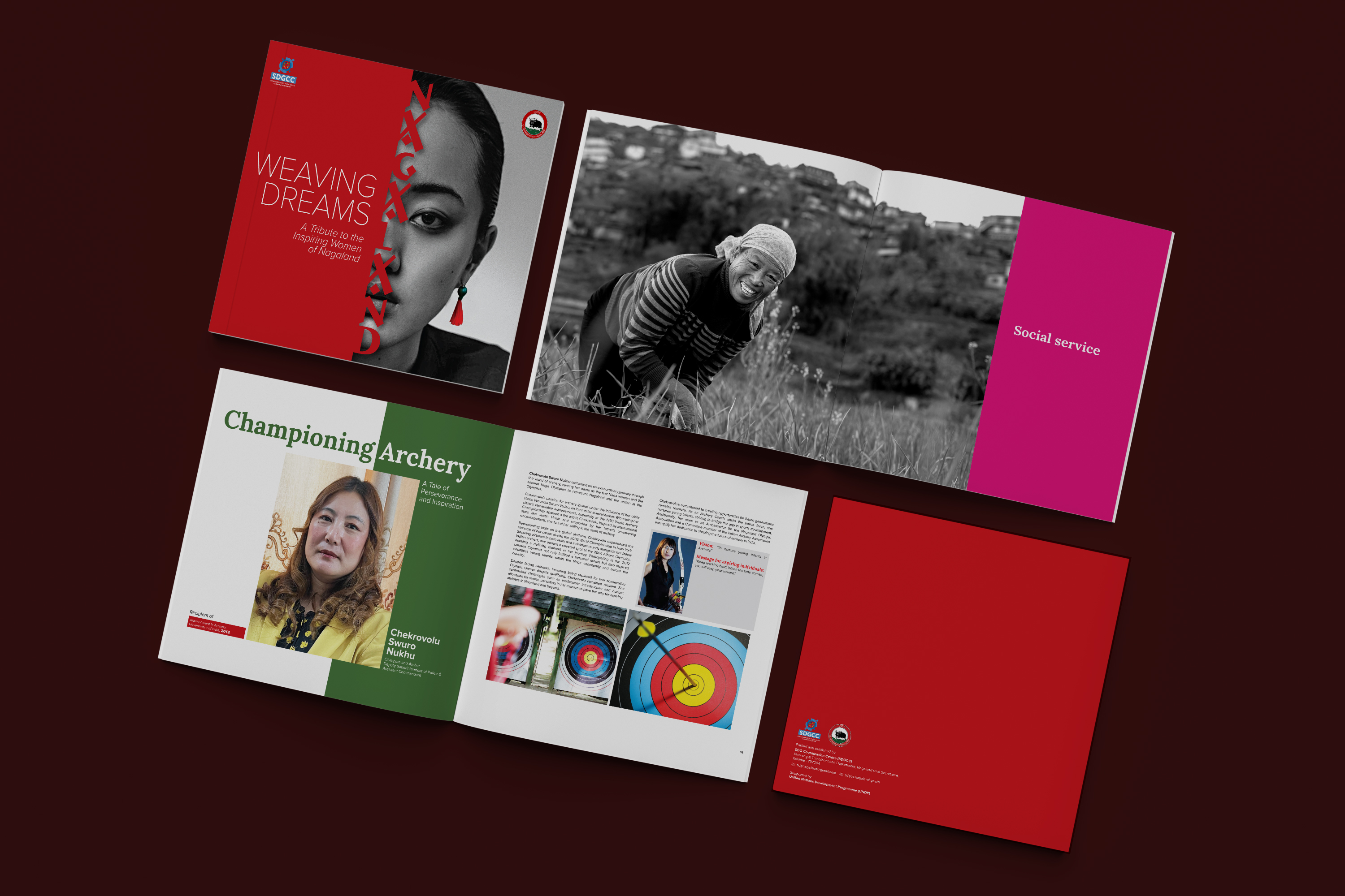 UNDP brochure design