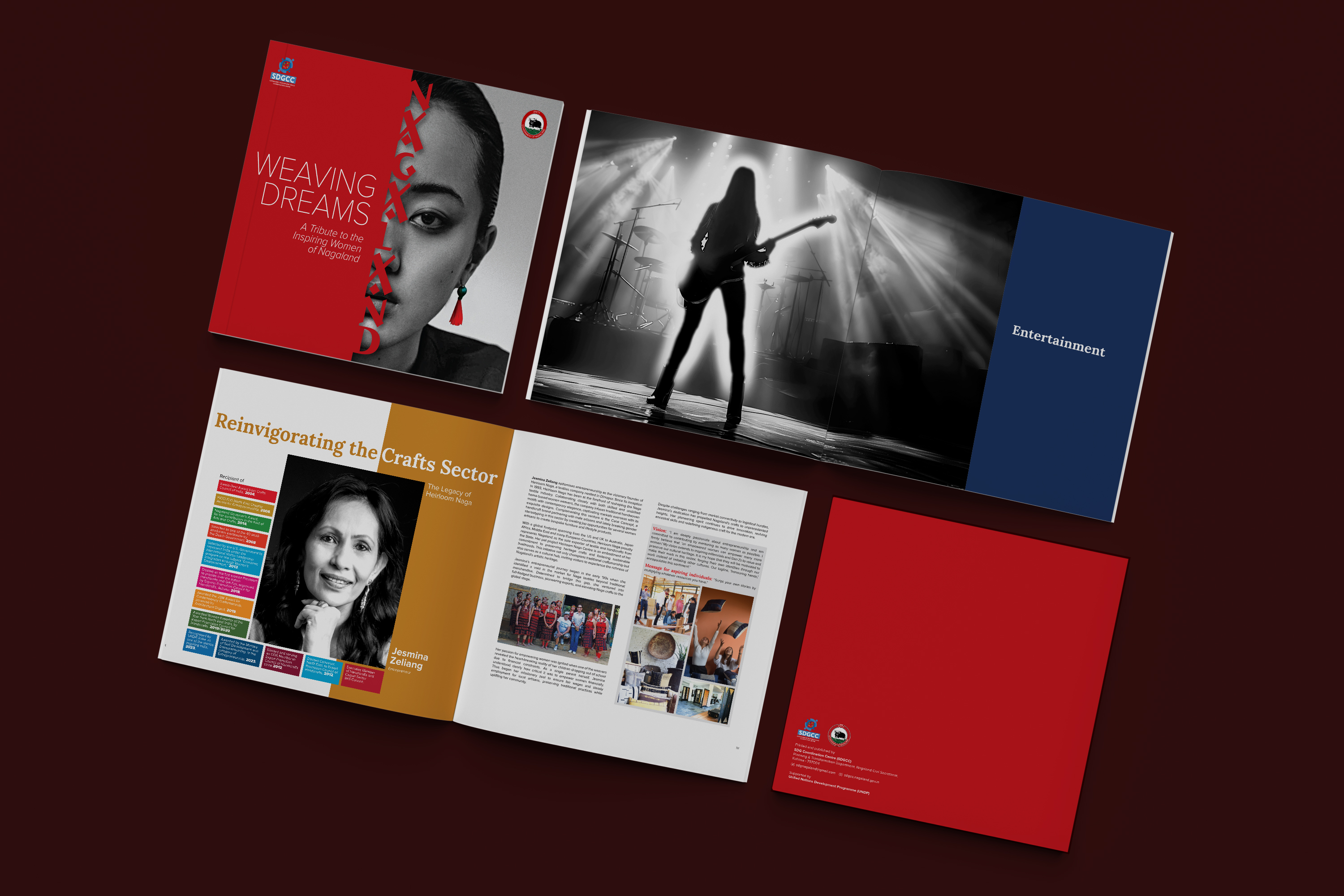 UNDP brochure design